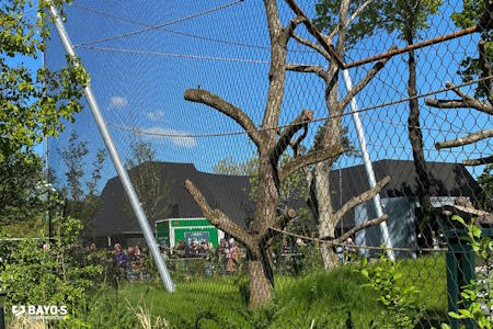 Chimpanseanlæg København ZOO