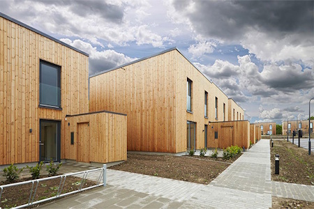 Skademosen i Trekroner