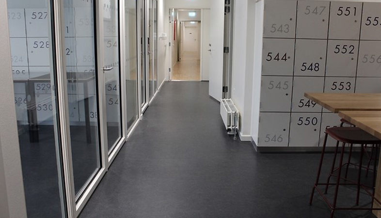 antibakteriel og plejelet linoleum fra DLW Flooring