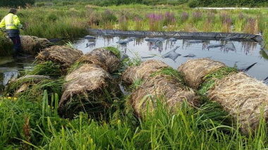  har Nykilde nu videreudviklet ArmaFlor® bredmåtten