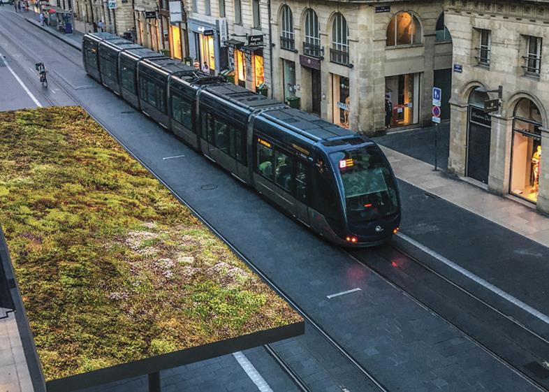 Smekab Citylife - cykeloverdækning med sedumtag 