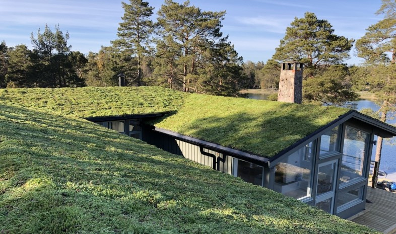 Grønne tage kan øge din ejendomsværdi