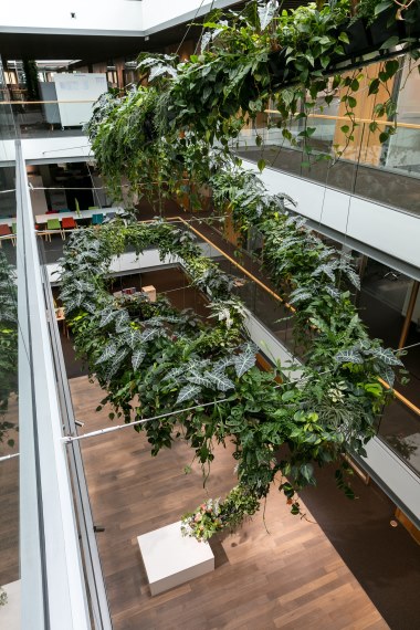 Natural Greenwalls - Grønt skal tænkes som mere end bare pynt 