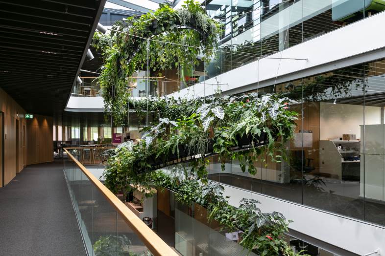 Natural Greenwalls - Prisvindene grøn indretning 