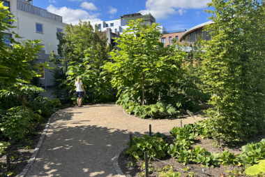 taghave ovenpå dæk, og under plantefloret, promenadestierne 