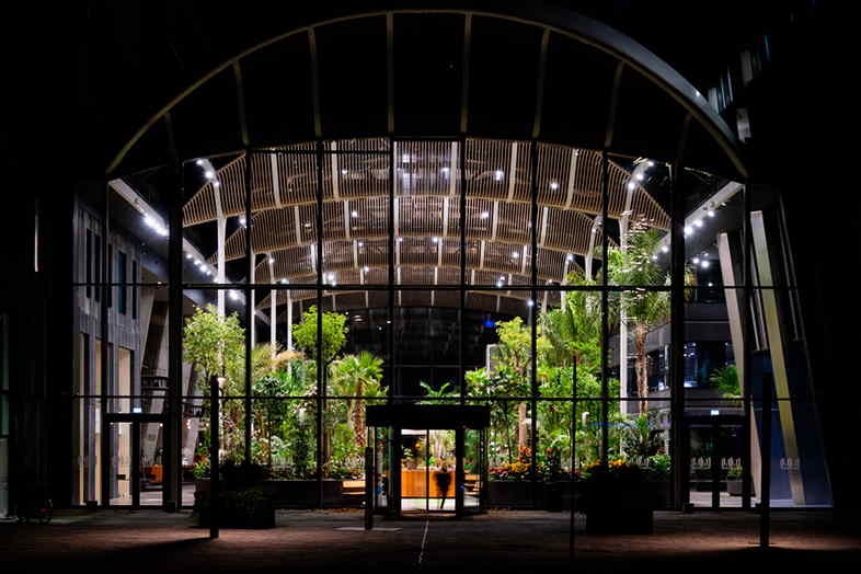 naturel greenwalls, grønne løsninger