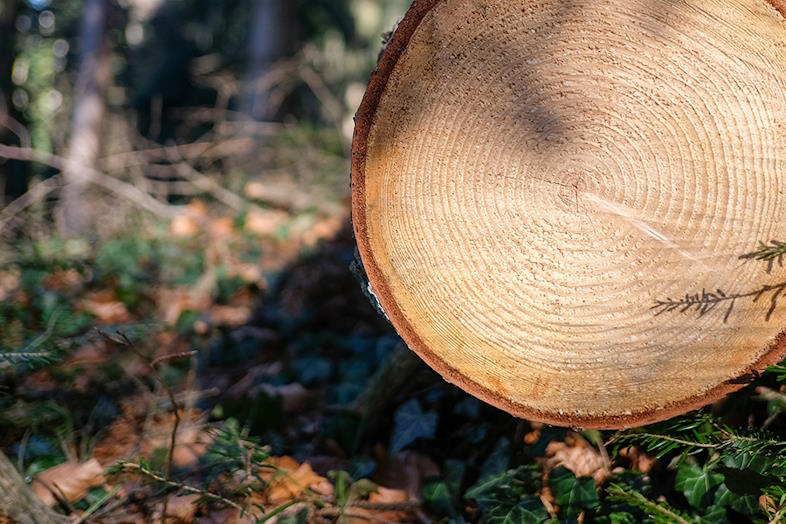 Svanemærket tjekker et produkts hele livscyklus 