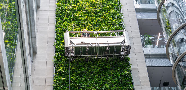 Danmarks højeste plantevæg fra natural greenwalls