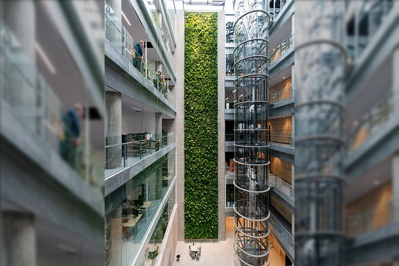Danmarks højeste plantevæg