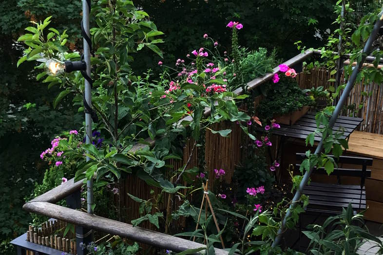 Byer er ikke kun hjem for mennesker, men også levesteder for et væld af arter fra både plante-, dyre- og svamperiget