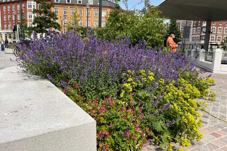 grønt byrum med CityVext FLL1 til plantehuller i terræn