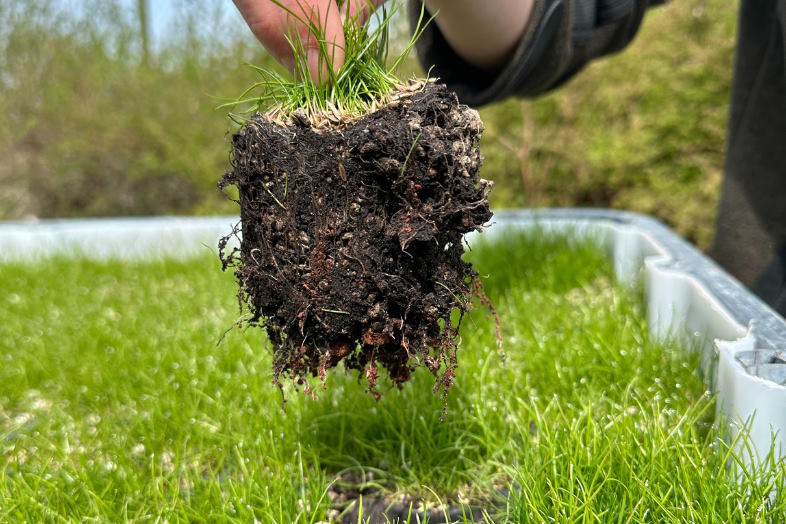 ECORASTER® er et permeabelt belægningssystem