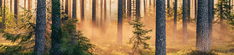 NVELOPE til ventilerede facader