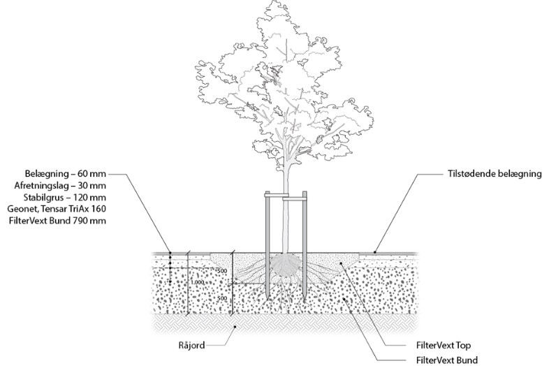 Regnbede fra BG Byggros