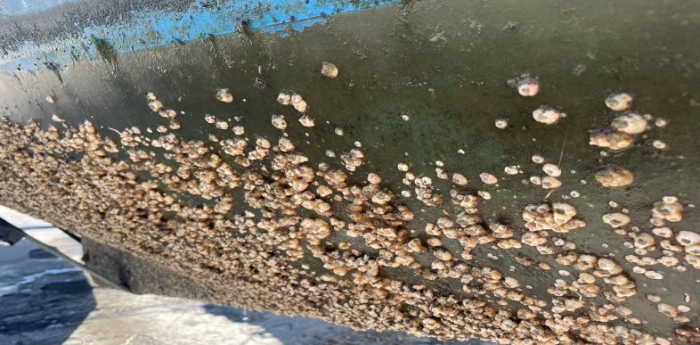 Slip for rur og anden begroning i mange år på dit sejlskib med Ecoglide 