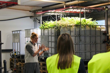 Et bindeled mellem teori og praksis