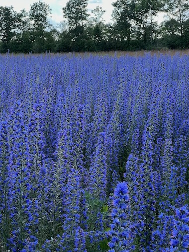 Klimatilpasning er et kritisk aspekt for byggematerialerbranchen