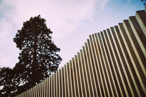 Accoya