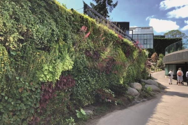 Grønne vægge - BGreen-it Living Wall