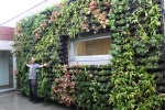 BGreen-it Living Wall