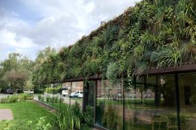 Biofilisk design indtager indretningen med grønne vægge