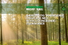 Brochure - Bæredygtig træbaseret vægplade