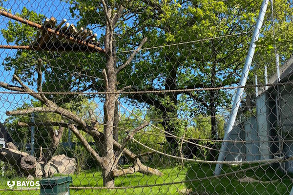 Chimpanseanlæg København ZOO