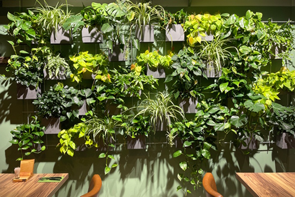 Plantegitter
