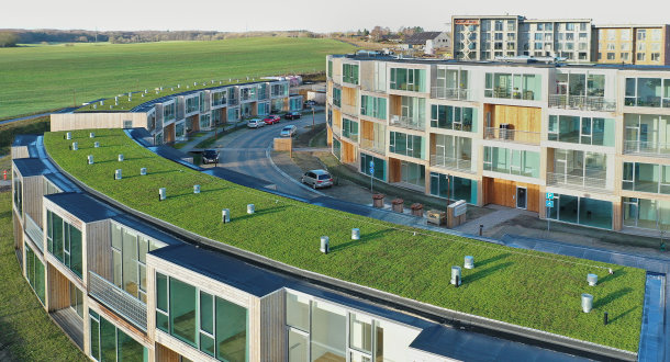 Det vidste du ikke om grønne tage