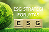 ESG-strategi