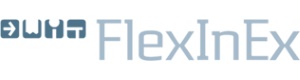 FlexInEx