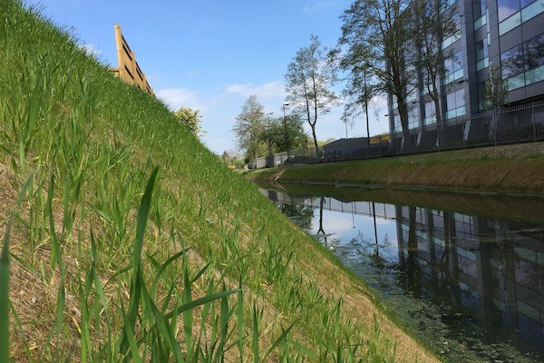 Fra erosion til økosystem: Sikring af både skråninger og biodiversitet med GreenFix og hjemmehørende frø