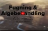 Fugning & algebehandling