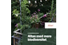 Guide - få mere biodiversitet på altanen