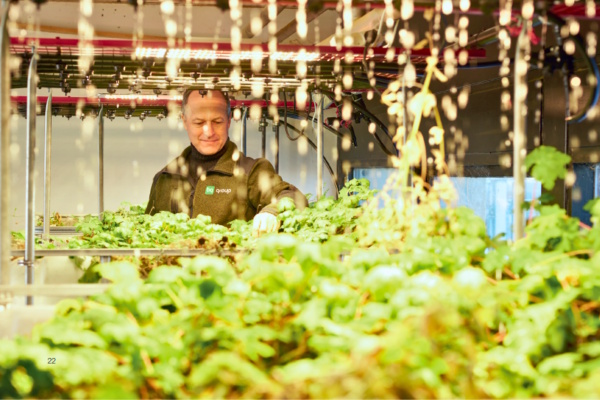 Innovation i praksis: Sådan udvikler Byggros fremtidens løsninger