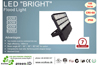 LED BRIGHT Flood Light