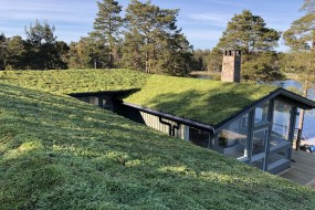 Lette og biodiversitetsvenlige systemer til flade og skrå grønne tage