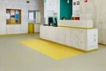 Marmoleum Solid