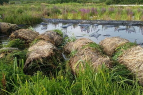 Ny type ArmaFlor® bredmåtter