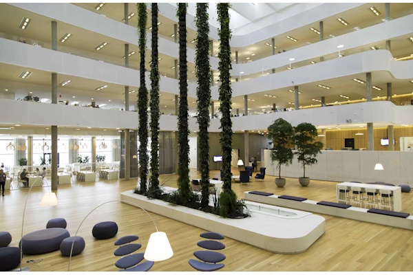 Nybygget domicil DSV