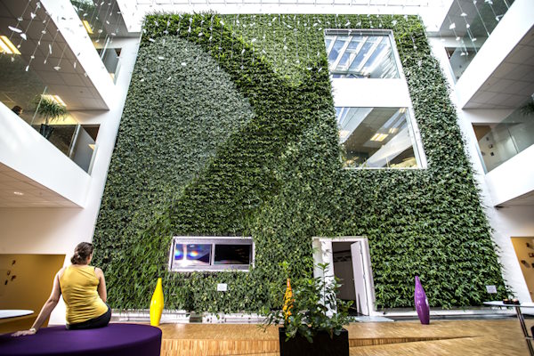 Plantevægge helt uden installationer – både udenfor og indenfor
