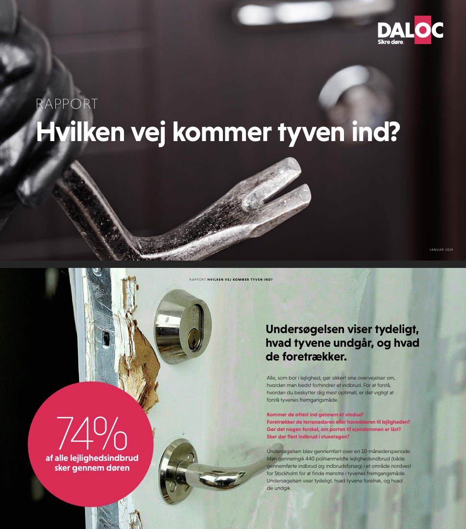 Rapport: Hvilken vej kommer tyven ind?