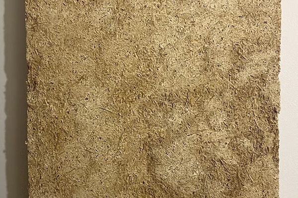 Naturpladen Elefantgræs