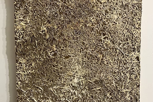 Naturpladen Vild-Hamp