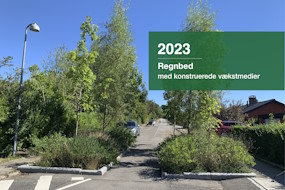 Regnbed med rodvenligt bærelag sikrer effektiv håndtering af overfladevand