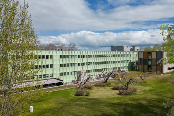 Rockwool - Hedehusene
