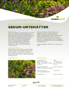 Sedum-urtemåtter fra Sempergreen®