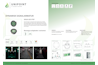 SEGUI LED STEP