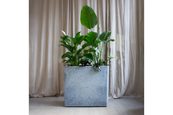 ISA Plantekassen