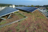 Solar Sedum roof